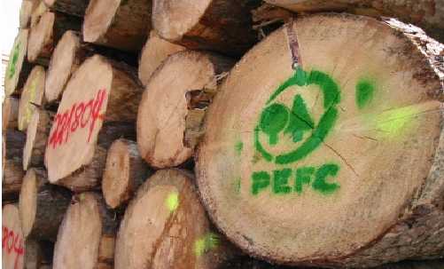 PEFC森林认证体系的特点，以及对其他标准的借鉴